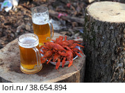Crayfish with beer on a wooden table. Стоковое фото, фотограф Марина Володько / Фотобанк Лори