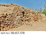 Mohenjo daro ruins close Indus river in Larkana district, Sindh, Pakistan (2021 год). Стоковое фото, фотограф Сергей Стрелков / Фотобанк Лори