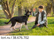 A boy with a dog walks in the park on a sunny spring evening, sits on the grass, the dog obeys the order give a paw. Friendship of man and animal, healthy lifestyle. Стоковое фото, фотограф Мария Мороз / Фотобанк Лори