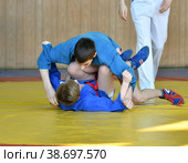 Orenburg, Russia - February 23, 2019: Boys competitions Sambo. Редакционное фото, фотограф Владимир Галкин / Фотобанк Лори