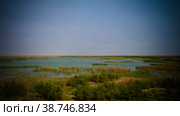 Mesopotamian Marshes, habitat of Marsh Arabs aka Madans Basra Ir. Стоковое фото, фотограф Сергей Майоров / Фотобанк Лори