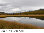 Picturesque Altai nature landscape of swamp lakes, yellow autumn forest and amazing mountain ice peaks of Siberia taiga, lonely larch tree grow on shore, cloudy sky. Russian nature, Altai, Siberia. Стоковое фото, фотограф Евгений / Фотобанк Лори