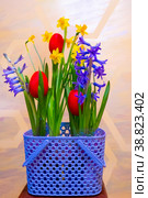 Easter card with daffodils and hyacinths in a very peri basket. Стоковое фото, фотограф Anastasia Kayander / Фотобанк Лори