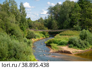 Река Белая впадает в реку Мста. Стоковое фото, фотограф Pukhov K / Фотобанк Лори