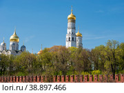 Вид на Московский Кремль, колокольню  Ивана Великого  и соборы на Соборной площади летним днем. Москва, Россия (2019 год). Стоковое фото, фотограф Pukhov K / Фотобанк Лори