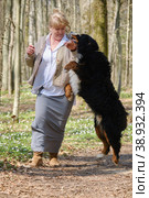 dog bites woman. Стоковое фото, фотограф Lekcej / Фотобанк Лори
