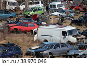 Свалка старых автомобилей. Стоковое фото, фотограф Александр Тарасенков / Фотобанк Лори