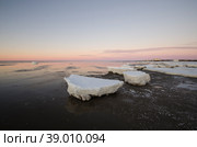 Большие белые льдины на фоне розового заката. Побережье Белого моря. Стоковое фото, фотограф Яковлев Сергей / Фотобанк Лори