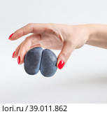 Trendy ugly food concept. Purple ugly plum in a woman's hand on a white background. Fruit with a strange shape. The problem of food waste. Стоковое фото, фотограф Марина Багрова / Фотобанк Лори