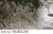 a strange river. a beautiful mountain river among rocks and forests. beautiful stones mountains river water nature. Стоковое видео, видеограф Meshkov Sergey / Фотобанк Лори