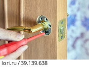 Do it yourself repair of push door handle on interior door, tightening fixing bolt with screwdriver. Стоковое фото, фотограф Владимир Григорьев / Фотобанк Лори