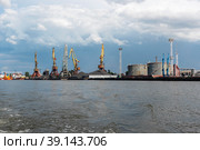 Портальные краны в морском торговом порту. Калининград (2018 год). Редакционное фото, фотограф Александр Щепин / Фотобанк Лори