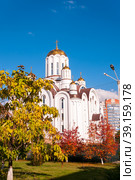 Voronezh, Russia, October 3, 2022: The Church of Blessed Xenia of St. Petersburg in autumn. Стоковое фото, фотограф Катерина Белякина / Фотобанк Лори