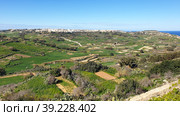 Окрестности Надура. Остров Гоцо (Gozo). Республика Мальта (2023 год). Стоковое фото, фотограф lana1501 / Фотобанк Лори