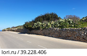 Triq Ghajn Qasab. Надур (In-Nadur). Остров Гоцо (Gozo). Мальта (2023 год). Стоковое фото, фотограф lana1501 / Фотобанк Лори