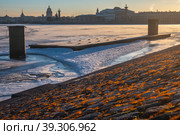 Зимний вид на стрелку Васильевского острова (2023 год). Редакционное фото, фотограф Михаил Богородский / Фотобанк Лори
