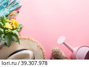 Gardening background with gerbera, tolls and flowers plant in box on yellow background. Top view. Copy space. Стоковое фото, фотограф Светлана Лажко / Фотобанк Лори