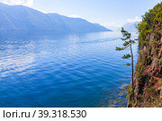 Teletskoye lake on a sunny summer day, Siberian landscape. Стоковое фото, фотограф EugeneSergeev / Фотобанк Лори
