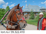 MANDROGI, RUSSIA - JUNE 8, 2015: A bay horse for transporting tourists around the village. Karelia region, a new resort in a traditional style in the old village of Mandrogi. Редакционное фото, фотограф Оксана Медведева / Фотобанк Лори
