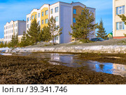 Spring streams of snow melting in spring in middle of houses, Residential area Lesnaya Polyana Forest Glade in Kemerovo, Kuzbass. Стоковое фото, фотограф Дмитрий Коростылев / Фотобанк Лори
