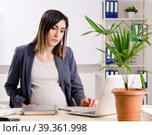 Young pregnant employee working in the office. Стоковое фото, фотограф Elnur / Фотобанк Лори