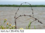 Старая ржавая колючая проволока на месте концентрационного лагеря СЛОН на берегу Белого моря в штормовую погоду (2018 год). Стоковое фото, фотограф Pukhov K / Фотобанк Лори
