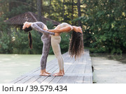 Two women leading a healthy lifestyle and practicing yoga, performing holding on to each other the exercise of Hasta Uttanasana, a posture of deflection back, train in a park on a wooden bridge. Стоковое фото, фотограф Сергей Чайко / Фотобанк Лори