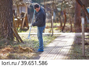 Gardener raking fall leaves in garden. Copy space. Стоковое фото, фотограф Кутина Татьяна / Фотобанк Лори