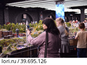 Женщина средних лет фотографирует на телефон экспонаты музея "Гранд Макет Россия " в Санкт-Петербурге (2023 год). Редакционное фото, фотограф Наталья Зверева / Фотобанк Лори