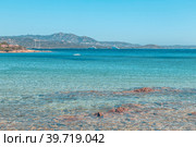 Beach in Costa Smeralda. Стоковое фото, фотограф Татьяна  Бральнина / Фотобанк Лори