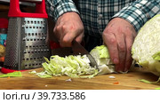 Мужские руки мелко нарезают капусту на кухонной доске. Приготовление пищи дома. Стоковое видео, видеограф Ярославский Максим / Фотобанк Лори