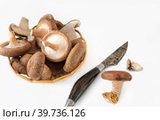shiitake organic mushrooms in a basket and on a white background with an antique cutting knife. lentinula edible, Japanese forest mushroom. Стоковое фото, фотограф Оксана Медведева / Фотобанк Лори