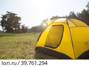 Installed tourist tent in nature in the forest. Domestic tourism, active summer holidays, family adventures. Ecotourism, social distance. Copy space. Стоковое фото, фотограф Ольга Симонова / Фотобанк Лори