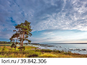 Раннее утро на реке Оби. Новосибирская область России (2021 год). Стоковое фото, фотограф Евгений Мухортов / Фотобанк Лори