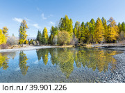 Река Тюте (Тетё) осенью. Кош-Агачский район Республики Алтай. Стоковое фото, фотограф Евгений Мухортов / Фотобанк Лори