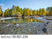 Река Тюте (Тетё) осенью. Кош-Агачский район Республики Алтай. Стоковое фото, фотограф Евгений Мухортов / Фотобанк Лори