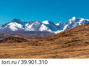 Курайская степь в окрестностях реки Тюте (Тетё) осенью. Кош-Агачский район Республики Алтай. Стоковое фото, фотограф Евгений Мухортов / Фотобанк Лори
