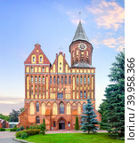 Cathedral of Koenigsberg. Kaliningrad, Russia. (2017 год). Стоковое фото, фотограф Belikart / Фотобанк Лори