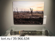 Фотовыставка Владимира Соловьева  "За лентой" на Мосфильме, джевелин (2023 год). Редакционное фото, фотограф Дмитрий Неумоин / Фотобанк Лори