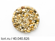 sample of stone chips, pavements for footpaths and sidewalks. Стоковое фото, фотограф Скрипачев Антон / Фотобанк Лори