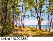 Path to the sea in the park. Yantarny, Kaliningrad region. Russia. (2017 год). Стоковое фото, фотограф Belikart / Фотобанк Лори