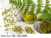 Golden beans, munga beans. Sprouts and bean oil. Healthy, natural food. Стоковое фото, фотограф Bogdanova Mariia / Фотобанк Лори