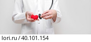 A doctor with a stethoscope listens to the red heart. Coronavirus, covid-19, healthcare concept. Cardiology. Banner. Стоковое фото, фотограф Марина Багрова / Фотобанк Лори