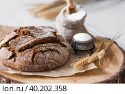 Свежий вкусный хлеб крупным планом с солью. Свежеиспеченный хлеб на закваске с золотистой корочкой на деревянной доске. Контекст пекарни с вкусным хлебом. Кондитерские изделия. Стоковое фото, фотограф Photojuli / Фотобанк Лори