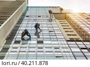 Industry mountaineering workers hangs on residential facade building, washing exterior facade glazing. Rope access laborers on wall house. Concept of industry urban works. Copy advertising text space. Стоковое фото, фотограф Aleksandr Golubev / Фотобанк Лори
