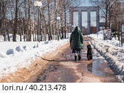 Владелец (хозяин) выгуливает пуделя в городском парке солнечным весенним днем. Стоковое фото, фотограф Photojuli / Фотобанк Лори