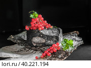 goat hard black cheese produced by Russian cheese makers. Import substitution of sanctioned food products. cheese is served with currant berries. Стоковое фото, фотограф Оксана Медведева / Фотобанк Лори