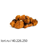 Chaga mushroom isolated on a white background. Pieces of chaga. Inonotus Obliquus. Стоковое фото, фотограф Марина Багрова / Фотобанк Лори