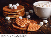 Waffles and Hot Cocoa with Marshmallow. Стоковое фото, фотограф Всеволод Белоусов / Фотобанк Лори
