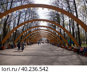 MOSCOW, RUSSIA - MAY 7, 2022 Sokolniki park, sunny autumn day wooden arch. Стоковое фото, фотограф Фотограф / Фотобанк Лори